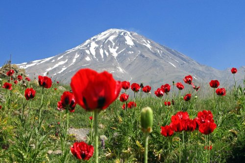 Mount Demavend 8 Day